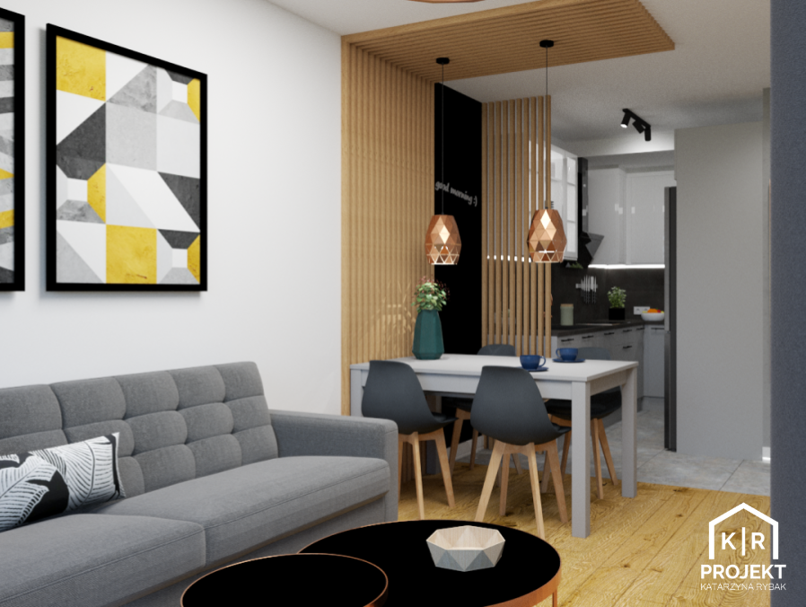 Salon 15 m² BŁONIE