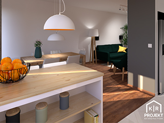 Salon z kuchnią 37 m² WOLA